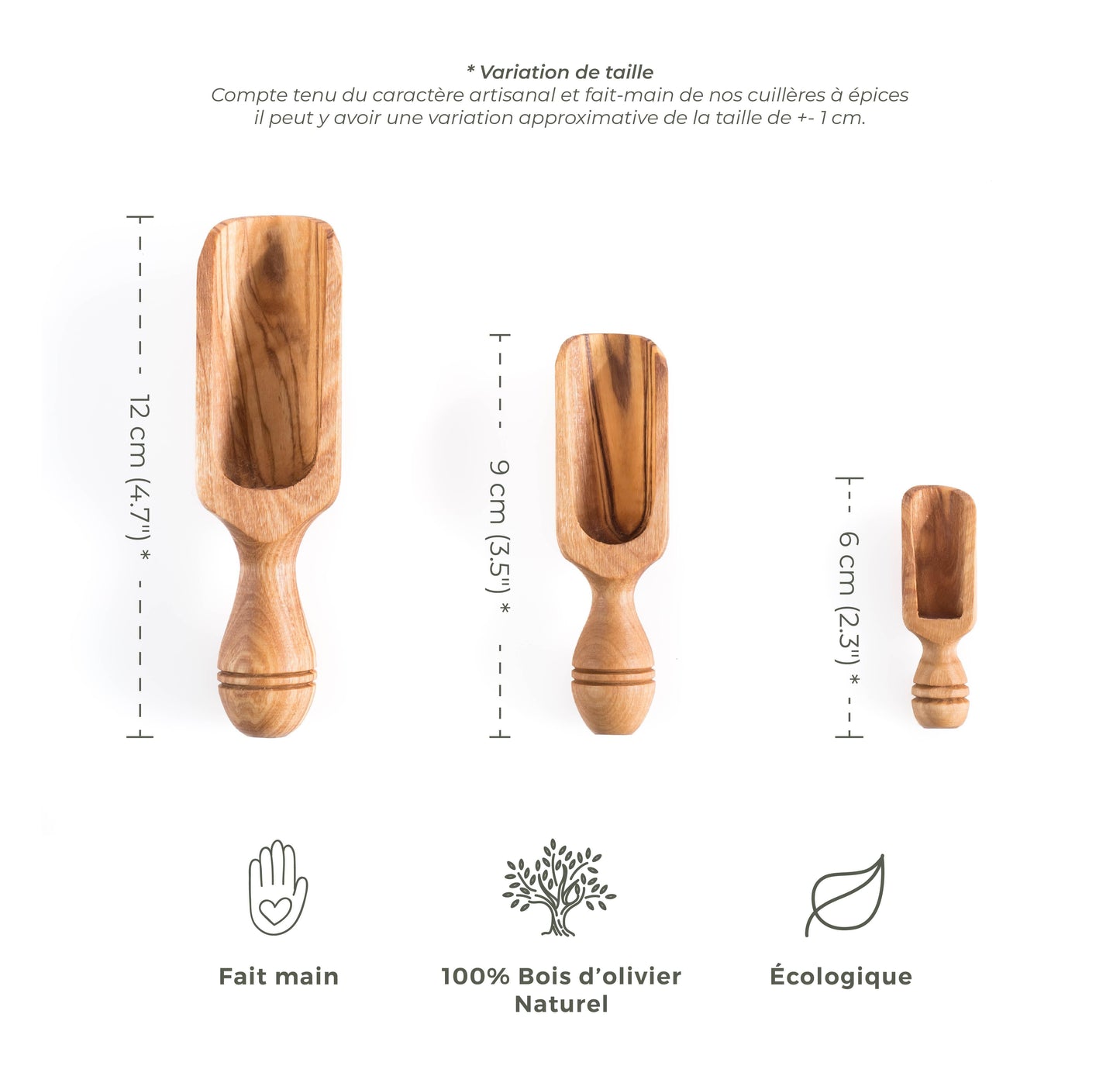 Set de Doseurs de Cuisine en Bois d'Olivier - 3 Tailles